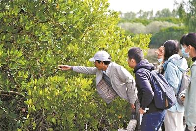 三大生态系统，地球上三大生态系统（入海探“红”妆）