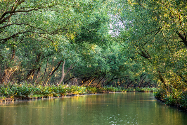 三大生态系统，地球上三大生态系统（入海探“红”妆）