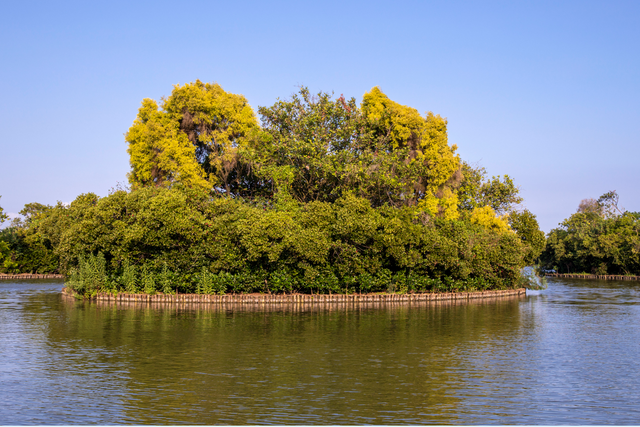 三大生态系统，地球上三大生态系统（入海探“红”妆）
