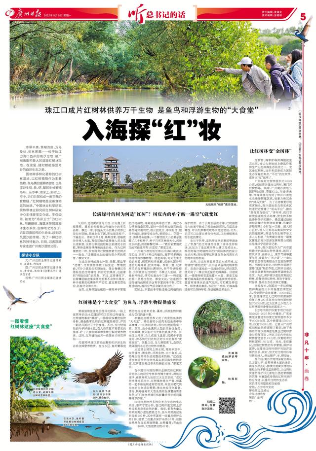 三大生态系统，地球上三大生态系统（入海探“红”妆）