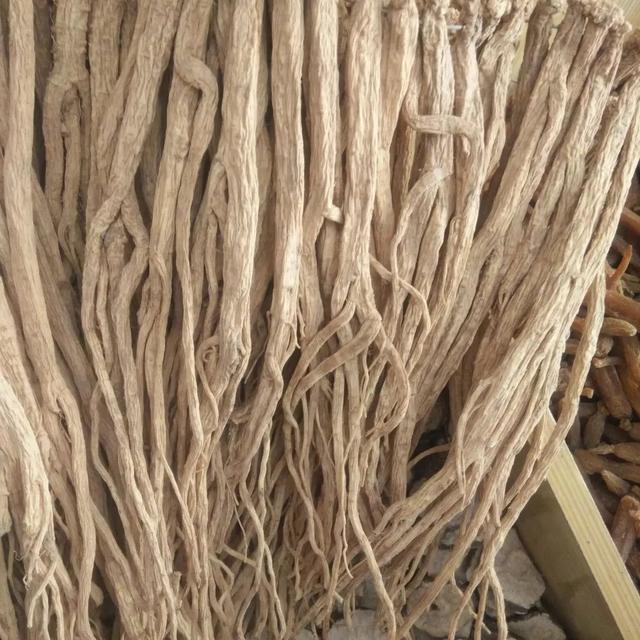 红参的作用与功效，红参的功效与作用（养生功效各不相同）