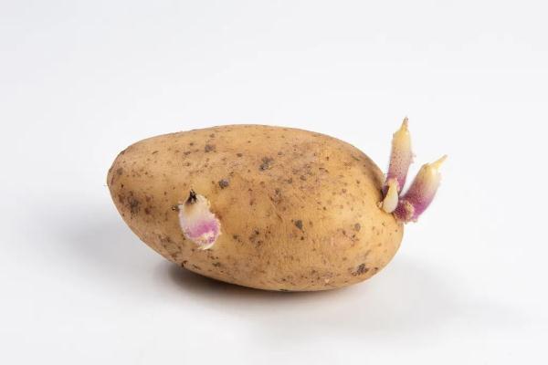 辣椒辣手最快解决办法，辣椒辣手最快解决办法多久会好（学会这几招，秒变厨房达人）