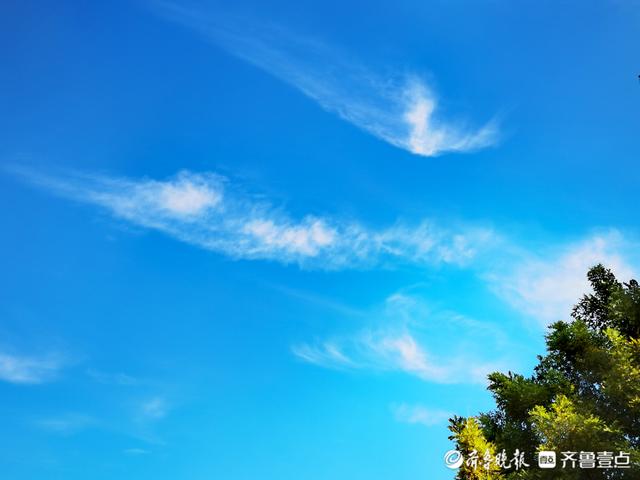 什么的白云，什么的白云像什么（天空中轻盈飘荡的白云）