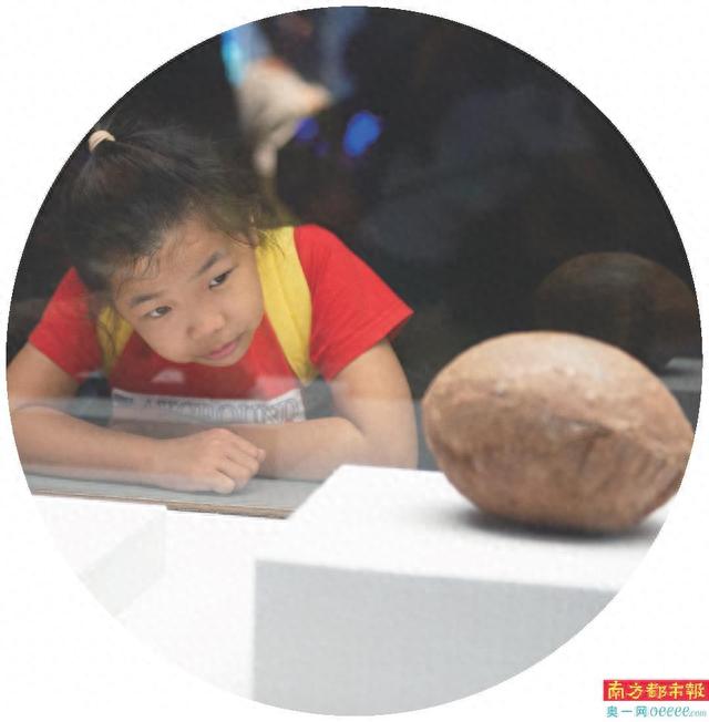 穿越千万年的恐龙蛋 寻找南粤的远古秘密
