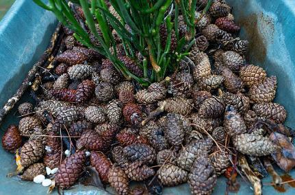 风险投资人的薪资，风险投资人是什么意思（从业者：熟手日入千元）