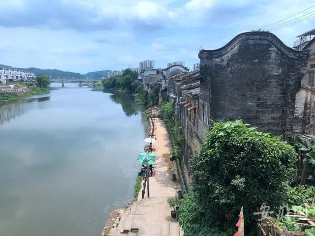 舟山一老伯患上“缠身龙”，缠身龙后期皮肤痒多久可以好（黄山屯溪中秋节将有民俗踩街和划龙舟活动）