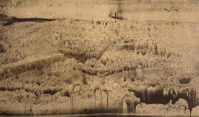 16年前的回忆写作背景，十六年前的回忆写作背景是什么（，《豹迹》，巫鸿，有关木心的记忆）