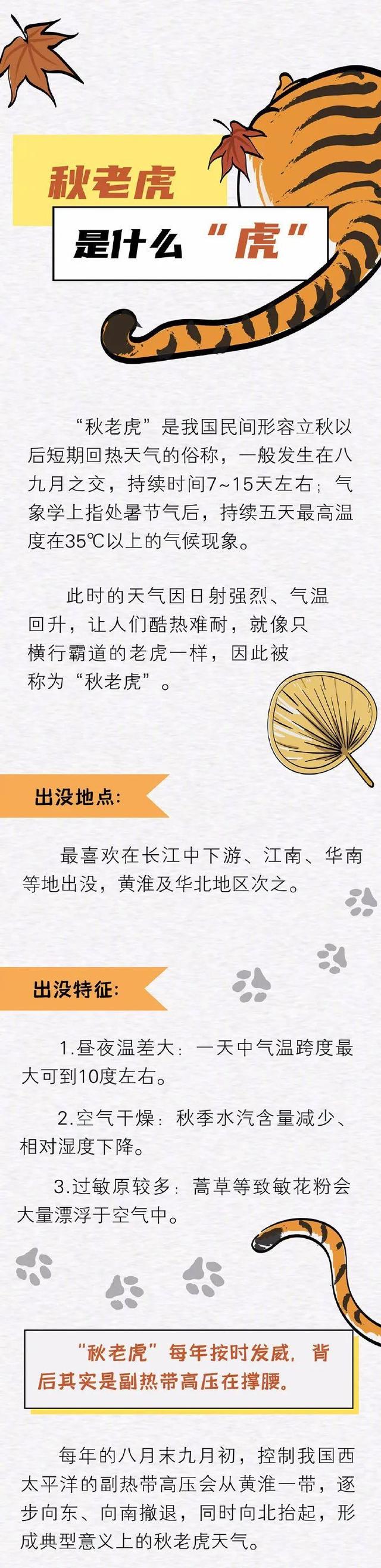 秋老虎是什么意思，秋老虎是什么意思啊（收下这份“伏虎”指南）