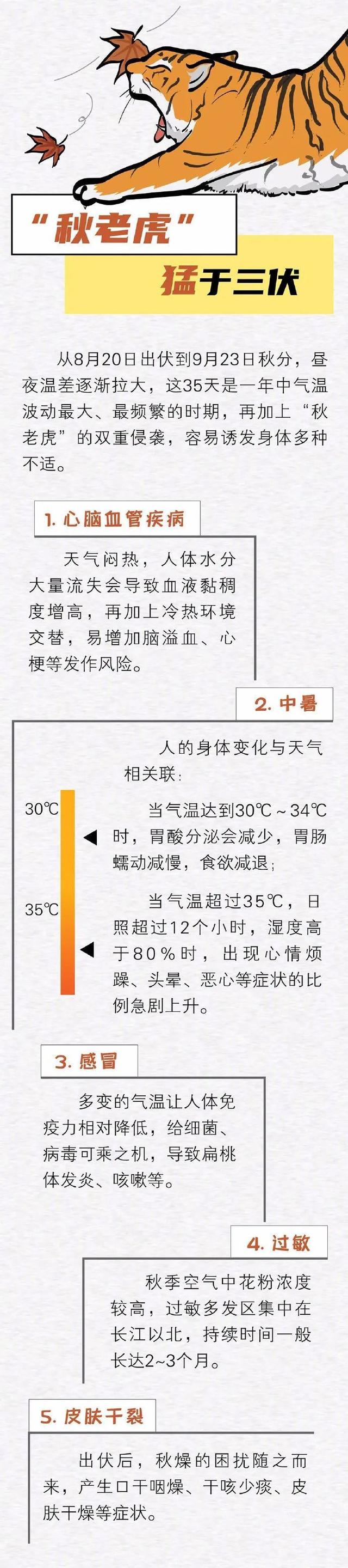 秋老虎是什么意思，秋老虎是什么意思啊（收下这份“伏虎”指南）