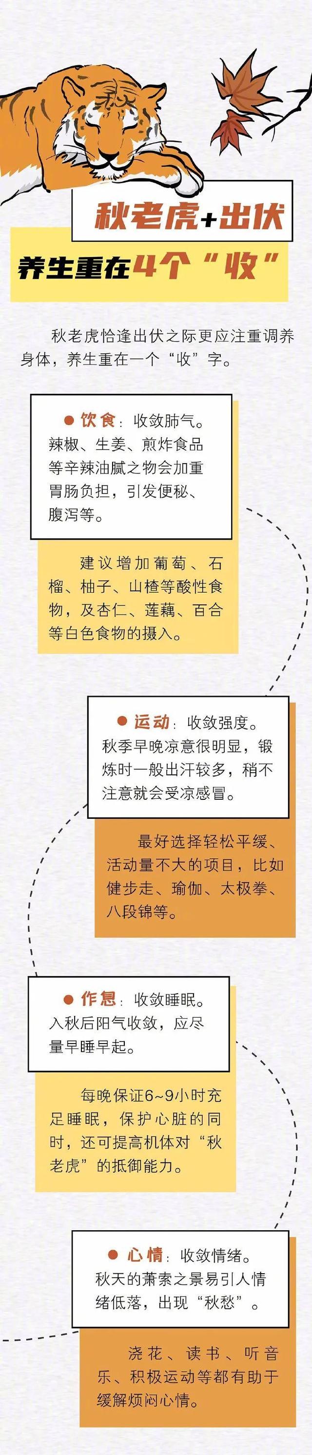 秋老虎是什么意思，秋老虎是什么意思啊（收下这份“伏虎”指南）