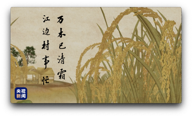白露节气的含义是什么，白露节气的含义是什么手抄报（人间好时节丨白露）