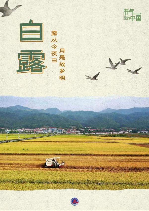 节气表二十四节气具体时间2022，2022年二十四节气时间表（今日23时32分）