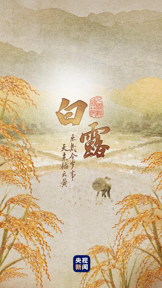 白露节气的含义是什么，白露节气的含义是什么手抄报（人间好时节丨白露）