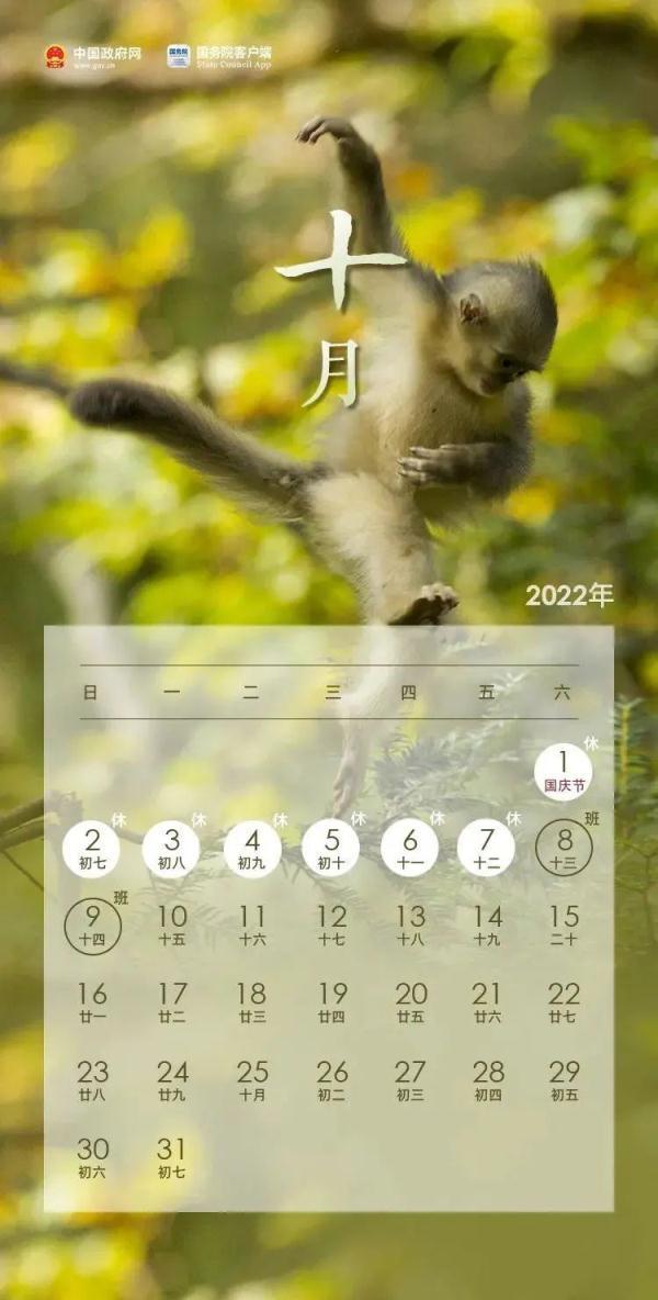 法定休假日和法定节假日的区别，法定节假日指的是双休日吗（再上14天班，又要放假了）