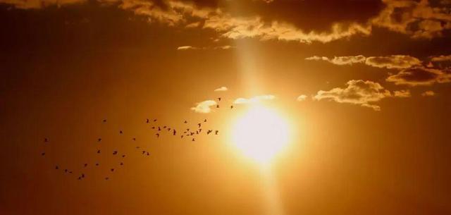 如期而至和如约而至的区别，如期是什么意思（今日白露，带孩子感受初秋美好）