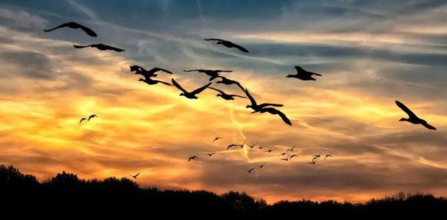 如期而至和如约而至的区别，如期是什么意思（今日白露，带孩子感受初秋美好）