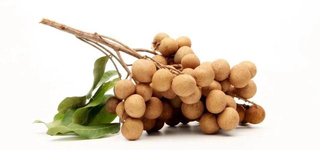 如期而至和如约而至的区别，如期是什么意思（今日白露，带孩子感受初秋美好）