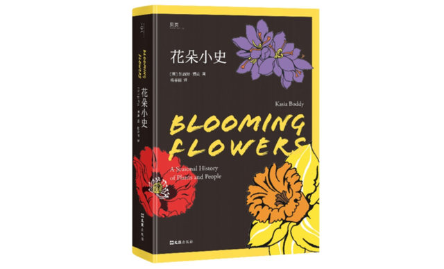 玫瑰花有什么特点，玫瑰花的特点是什么（恋人约会，为什么总是送玫瑰花）