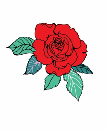 玫瑰花有什么特点，玫瑰花的特点是什么（恋人约会，为什么总是送玫瑰花）