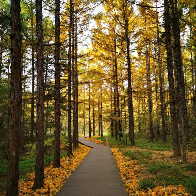 长春旅游景点，长春旅游景点免费门票的地方（长春两处5A级景区实力上榜）