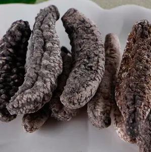 加拿大特产海参品种，秋冬美食——海参的三两小事