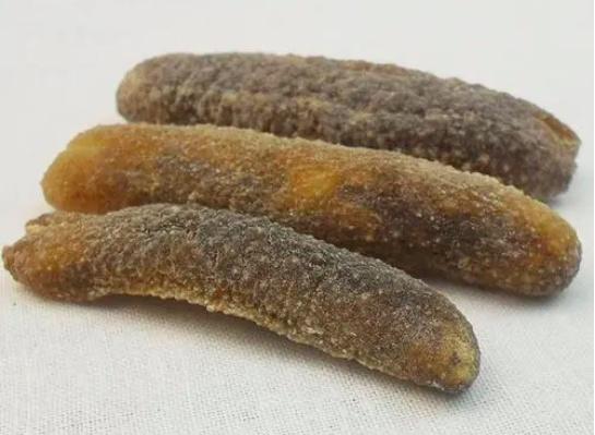 加拿大特产海参品种，秋冬美食——海参的三两小事