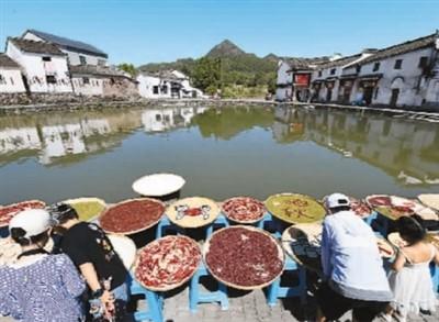 隐秘的新叶