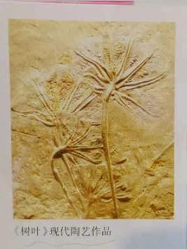 13年免费教育，13年免费教育是指什么时候（”上海小学生指出教科书错误上热搜）