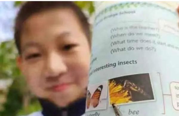 13年免费教育，13年免费教育是指什么时候（”上海小学生指出教科书错误上热搜）