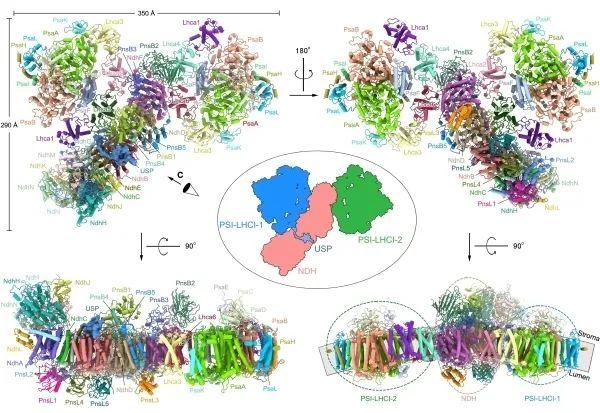 比纳米更小的单位，仄米（仄米=几幺米（先生丨匡廷云：优雅的科学家）