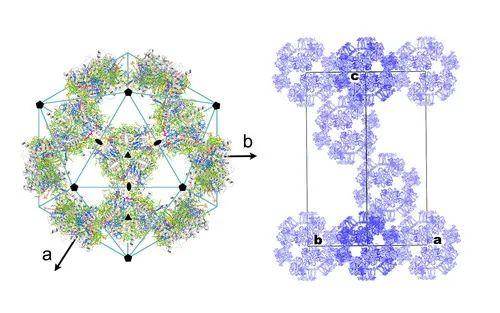 比纳米更小的单位，仄米（仄米=几幺米（先生丨匡廷云：优雅的科学家）