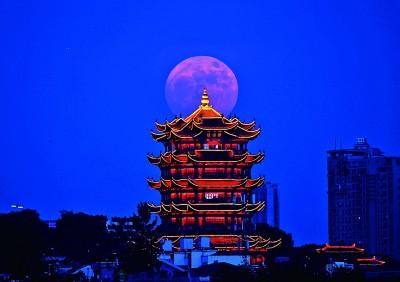 词又被称作什么，词还被称为什么（心中有一轮抒情的月亮）