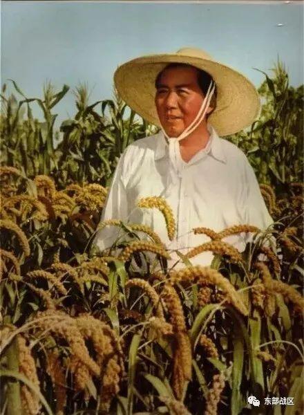 毛爷爷，毛爷爷的生日是多久（毛主席逝世46周年图片）