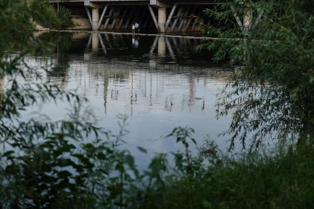 流水潺潺的意思，流水潺潺什么意思（从“掩鼻过”到“乐枕河”）