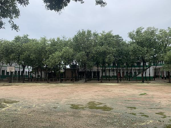 油漆多久能干，油漆多久能干透（一所“差生学校”的教育实践）