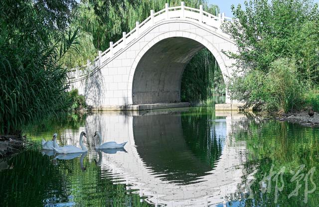 分享属于我们的美丽，美丽的风景（这里的水鸟会说话）