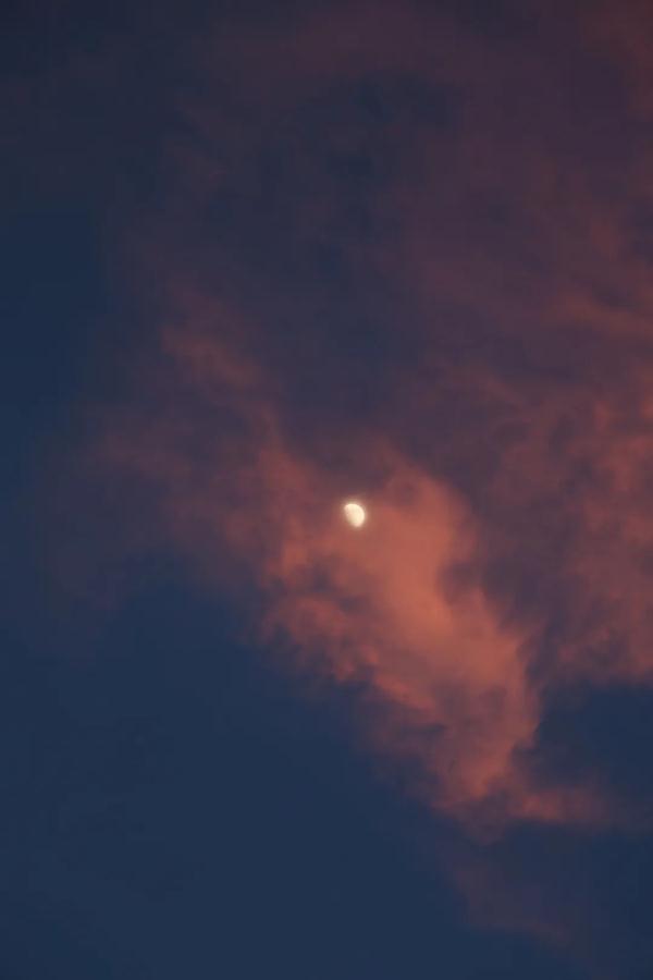 远的第六笔画是什么，远的第六笔画是什么笔画（月亮什么都知道）