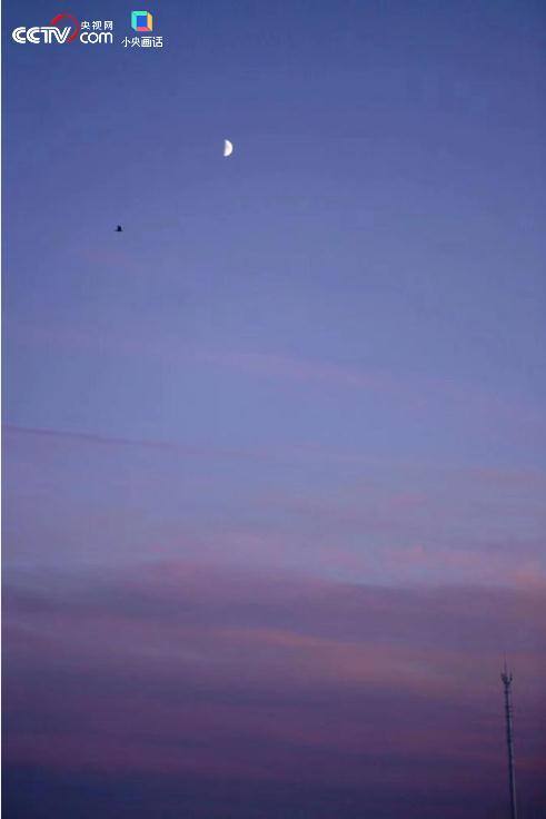 远的第六笔画是什么，远的第六笔画是什么笔画（月亮什么都知道）