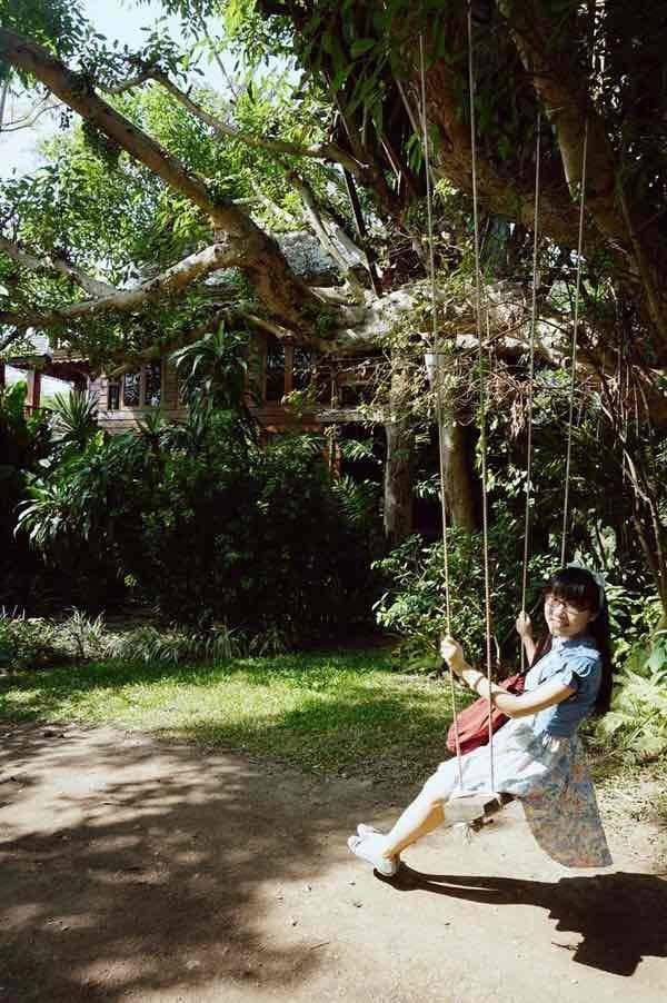 关于树像什么的句子大全，什么树像什么的句子大全（现代诗/《怀念秋千》）