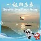 科创板十大龙头股，科创板块龙头股有哪些（11股明年净利有望增超20%）