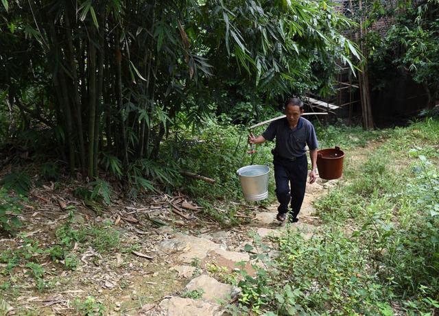 2021年2月节日有哪些 2021年2月节日大全，传统、法定、国际、24节气（10年200多张肖像5万多张照片）