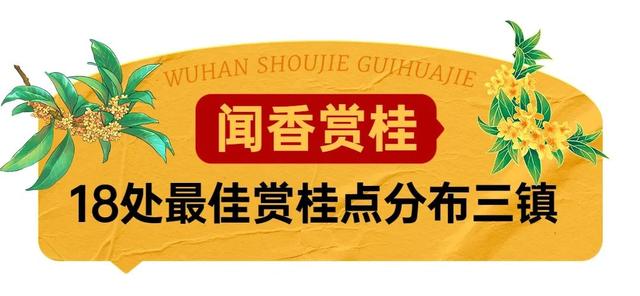 5月18日是什么节日，5月18日是什么节（武汉又有新花展，好甜）