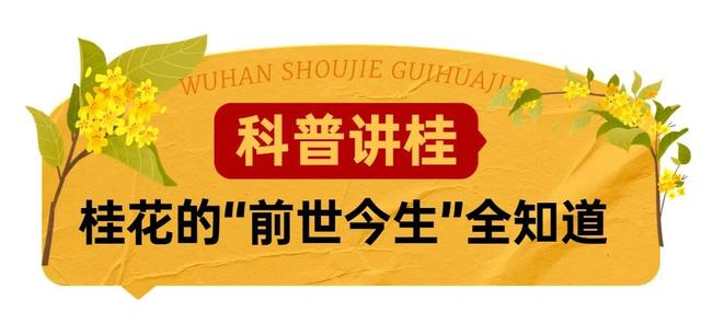 5月18日是什么节日，5月18日是什么节（武汉又有新花展，好甜）