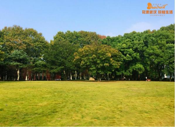 5月18日是什么节日，5月18日是什么节（武汉又有新花展，好甜）