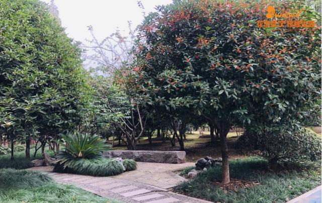 5月18日是什么节日，5月18日是什么节（武汉又有新花展，好甜）