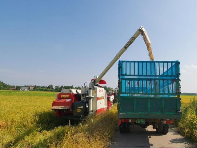 层什么叠什么成语，层什么叠什么成语照样子写成（从“累得脱层皮”到“当甩手掌柜”）