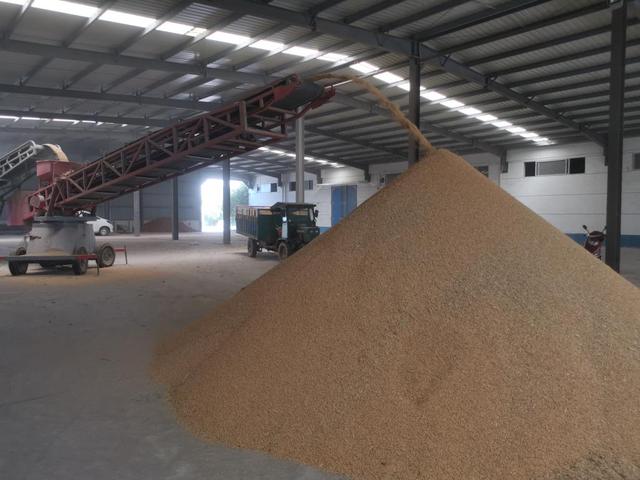 层什么叠什么成语，层什么叠什么成语照样子写成（从“累得脱层皮”到“当甩手掌柜”）