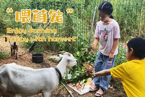中秋节休闲游玩攻略，音乐派对、古风游园、月饼手作……就在余杭