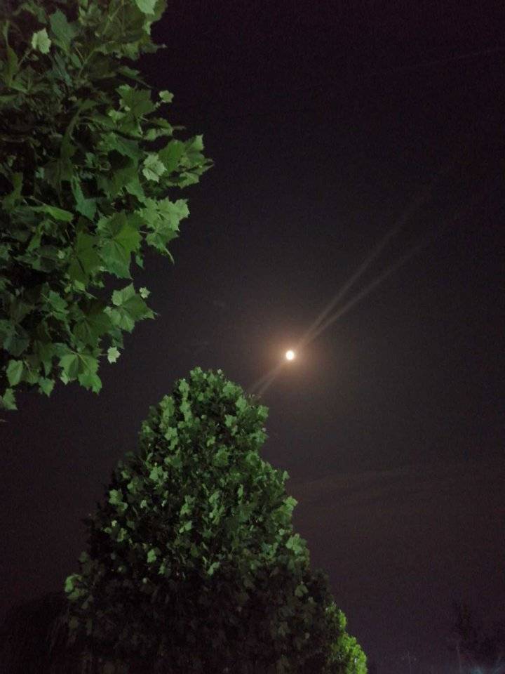 梦见上课学习什么意思，梦见在上课是什么意思周易（中秋念师恩│月亮里来的老师）