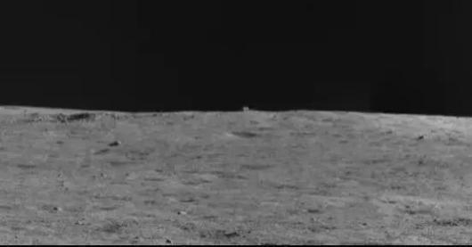 我的未来不是梦吉他谱，我的未来不是梦吉他谱c调（想起了那只万里之外的兔子）